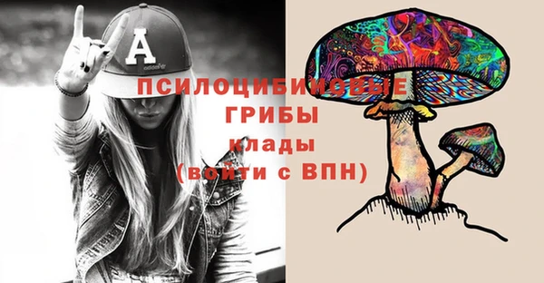 ешки Заводоуковск