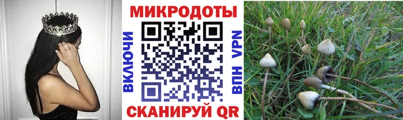 Псилоцибиновые грибы прущие грибы  Купить закладки  Липки 